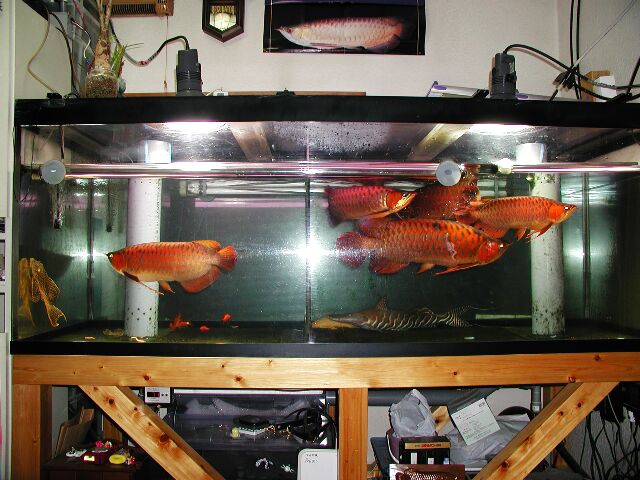 tank