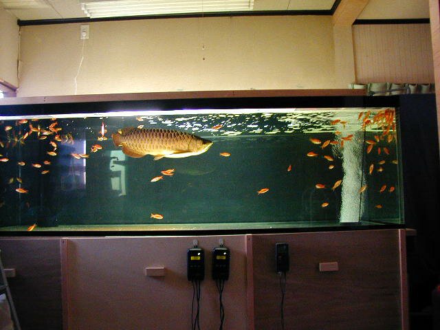 tank