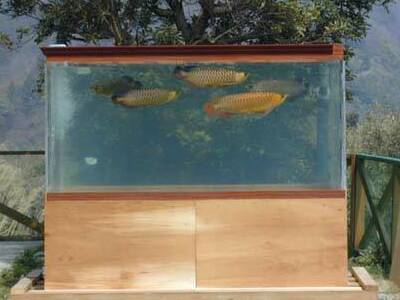 mixed tank